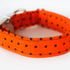 "Howl-o-ween" - Image 2